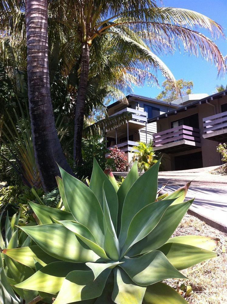 Unit 1 Sunbird On Lamond Villa Airlie Beach Buitenkant foto